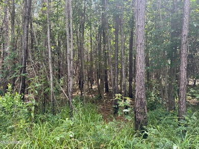 This is a one-of-a-kind gem of a tract. It's literally within 5 - photo 5