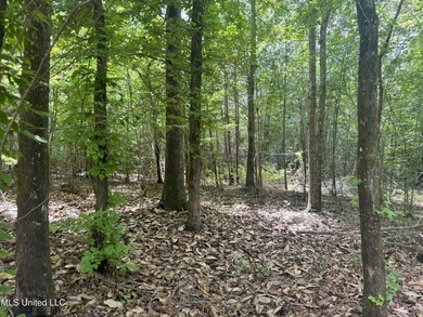 This is a one-of-a-kind gem of a tract. It's literally within 5 - photo 6