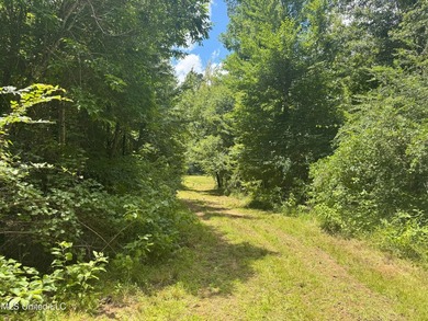 This is a one-of-a-kind gem of a tract. It's literally within 5 - photo 7
