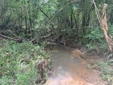 This is a one-of-a-kind gem of a tract. It's literally within 5 - photo 9