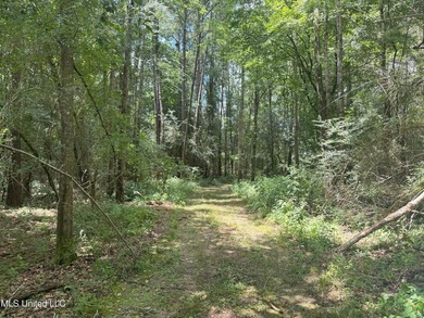 This is a one-of-a-kind gem of a tract. It's literally within 5 - photo 10