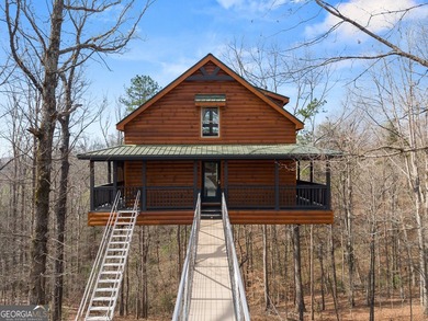 PROVEN STR. Generating over $75,000 annually, this elevated - photo 2