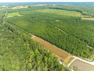 Three parcels 429+/- acres zoned general use, high land that the - photo 3