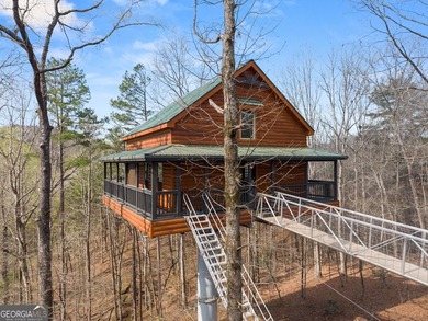 PROVEN STR. Generating over $75,000 annually, this elevated - photo 3