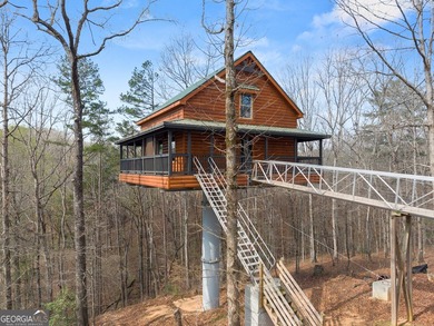 PROVEN STR. Generating over $75,000 annually, this elevated - photo 4