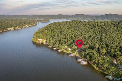 Dream lake home on Lake Neely Henry. This open concept three - photo 4