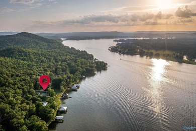 Dream lake home on Lake Neely Henry. This open concept three - photo 5