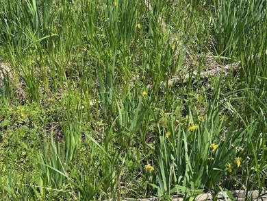 One of the few lots left on Lake Koshkonong for you to build the - photo 11