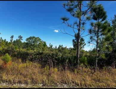 Additional listing photo 2