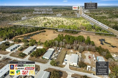 Positioned along busy US Hwy 19/98 in Homosassa, this 49.23+/- - photo 13