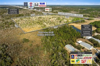 Positioned along busy US Hwy 19/98 in Homosassa, this 49.23+/- - photo 14