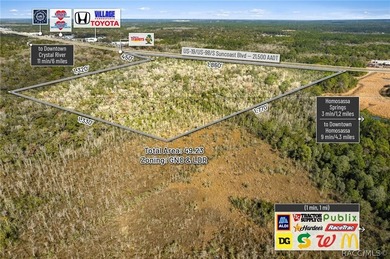 Positioned along busy US Hwy 19/98 in Homosassa, this 49.23+/- - photo 15