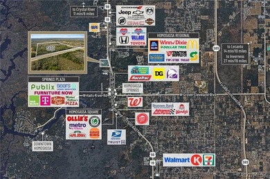Positioned along busy US Hwy 19/98 in Homosassa, this 49.23+/- - photo 16