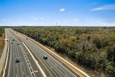 Positioned along busy US Hwy 19/98 in Homosassa, this 49.23+/- - photo 17