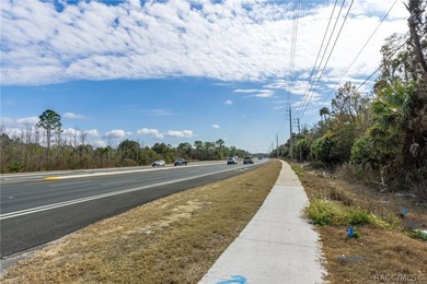 Positioned along busy US Hwy 19/98 in Homosassa, this 49.23+/- - photo 18