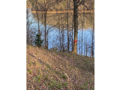 Lake Lot For Sale in Bee Spring, Kentucky