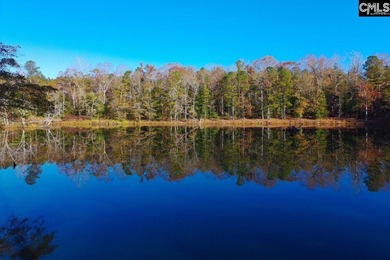 (private lake, pond, creek) Acreage For Sale in Ridge Spring South Carolina