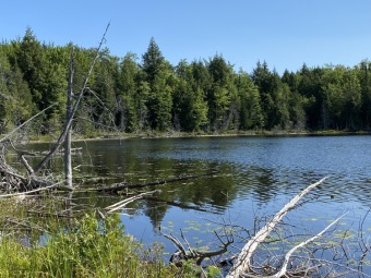 (private lake) Lot For Sale in Newberry Michigan