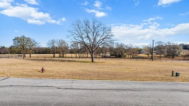 BUILD YOUR FUTURE AT LAKE TEXOMA! Gated & Guarded Community - - photo 11