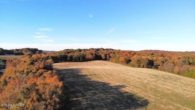 Location, Location, Location!!! Hard to find Large Estate Tracts - photo 5