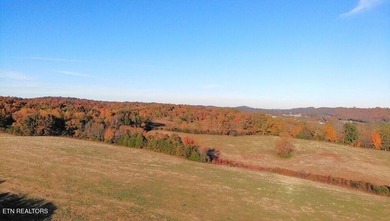 Location, Location, Location!!! Hard to find Large Estate Tracts - photo 4