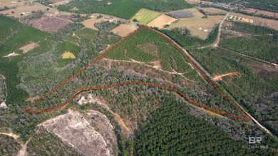 (private lake, pond, coastal) Acreage For Sale in Robertsdale Alabama