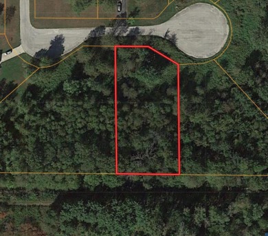 Bass Lake Lot For Sale in Knox Indiana