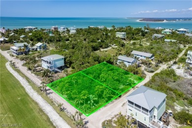 Fly your plane or take a boat ride to your new house on North - photo 5