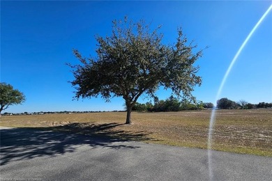 Are you looking to build in a Deed Restricted Community and have - photo 11