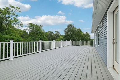 Welcome to a stunning new construction contemporary colonial - photo 22