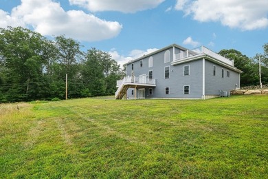 Welcome to a stunning new construction contemporary colonial - photo 29