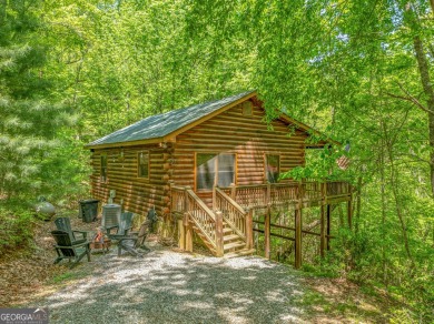 Lake Home For Sale in Blue Ridge, Georgia