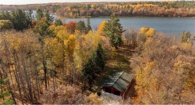 (private lake, pond, creek) Home For Sale in Akeley Minnesota