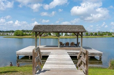 Located in the desirable Whitney Lake community, this property - photo 33