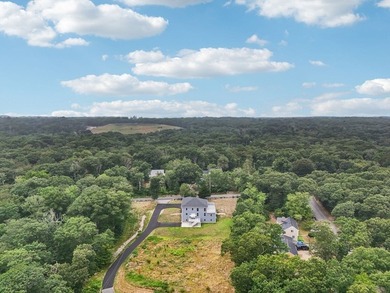 Welcome to a stunning new construction contemporary colonial - photo 35