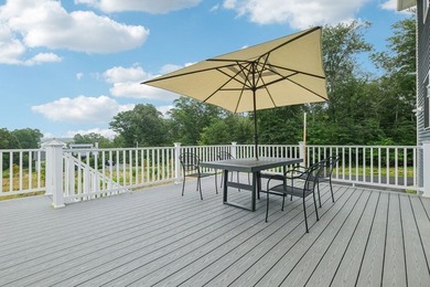 Welcome to a stunning new construction contemporary colonial - photo 37
