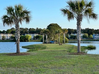 Located in the desirable Whitney Lake community, this property - photo 39