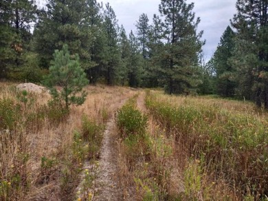 (private lake, pond, creek) Acreage For Sale in Valley Washington