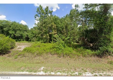 Lehigh Acres Area Lot For Sale in Lehigh Acres Florida