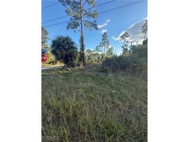 Lehigh Acres Area Lot For Sale in Lehigh Acres Florida