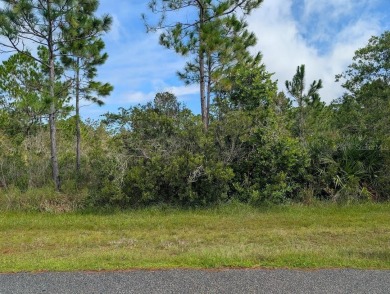 Lake Lot For Sale in Indian Lake Estates, Florida