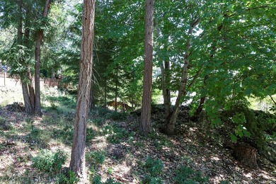 An exceptional opportunity to build your dream home in - photo 12
