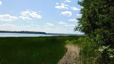 17 +/- acres with 700' +/- shorefront on Boyden's Lake with a - photo 13