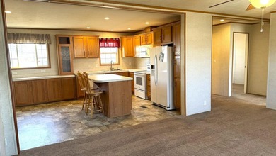 Welcome to Chestnut Hill MH Park. This great home is only six - photo 13