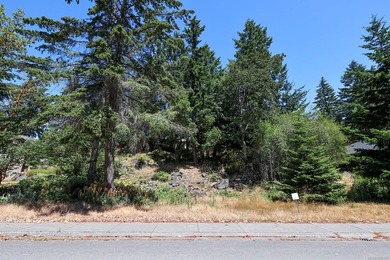 An exceptional opportunity to build your dream home in - photo 15