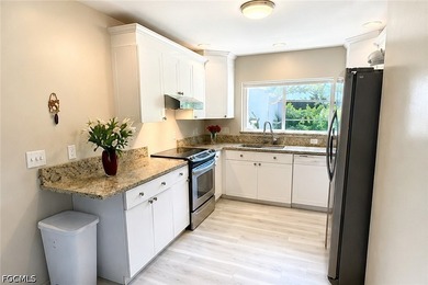 Move right into this beautifully updated Fort Myers home - photo 15