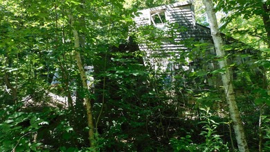 17 +/- acres with 700' +/- shorefront on Boyden's Lake with a - photo 15