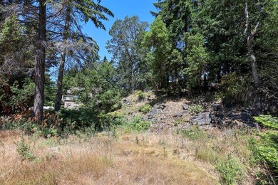 An exceptional opportunity to build your dream home in - photo 16