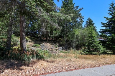 An exceptional opportunity to build your dream home in - photo 17