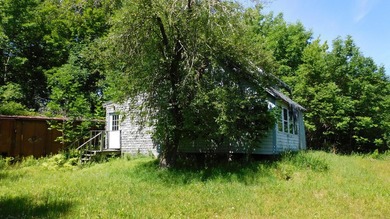 17 +/- acres with 700' +/- shorefront on Boyden's Lake with a - photo 17